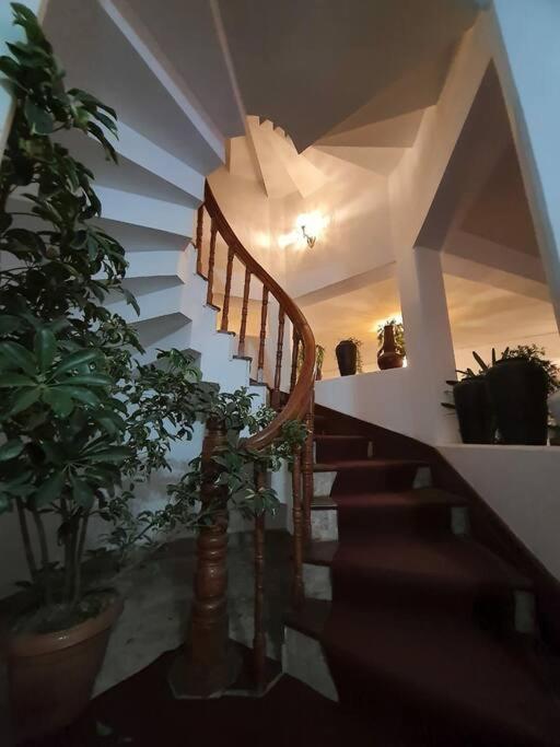 Ghost Villa Pokhara With Mountain View 20Mins From Main Area Ranipauwa 外观 照片