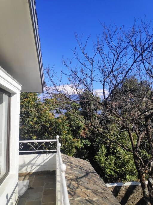 Ghost Villa Pokhara With Mountain View 20Mins From Main Area Ranipauwa 外观 照片