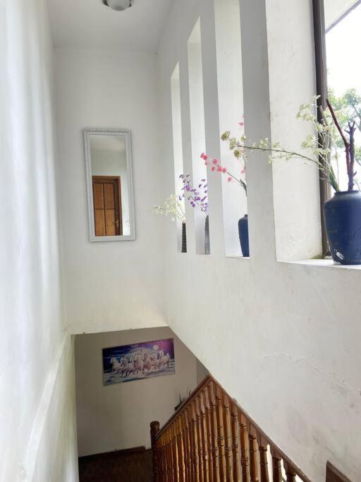 Ghost Villa Pokhara With Mountain View 20Mins From Main Area Ranipauwa 外观 照片