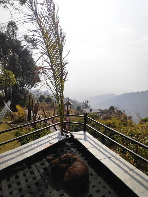 Ghost Villa Pokhara With Mountain View 20Mins From Main Area Ranipauwa 外观 照片