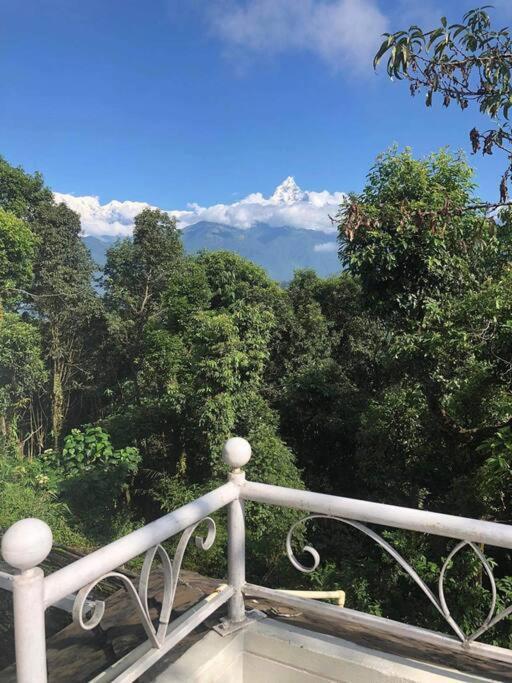 Ghost Villa Pokhara With Mountain View 20Mins From Main Area Ranipauwa 外观 照片